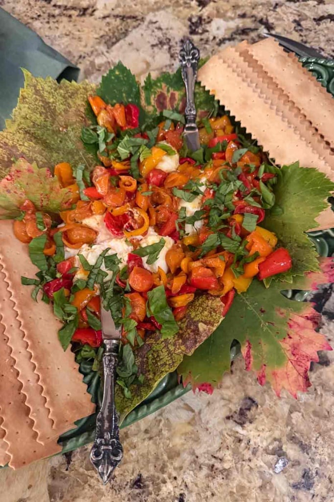 roasted pepper tomato burratta appetizer