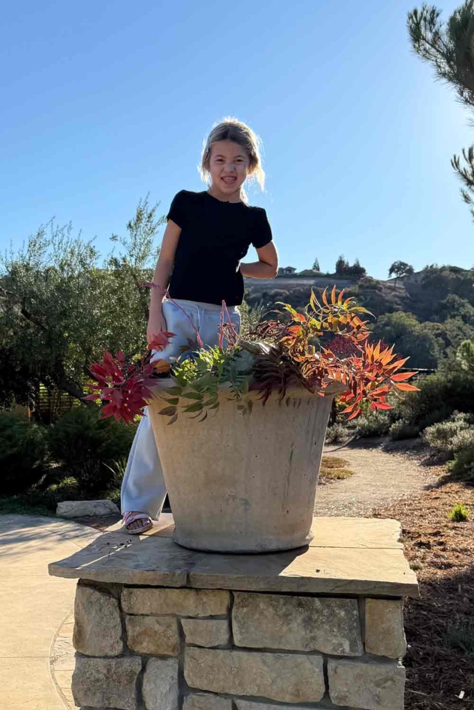 Summer decorating pots 2025