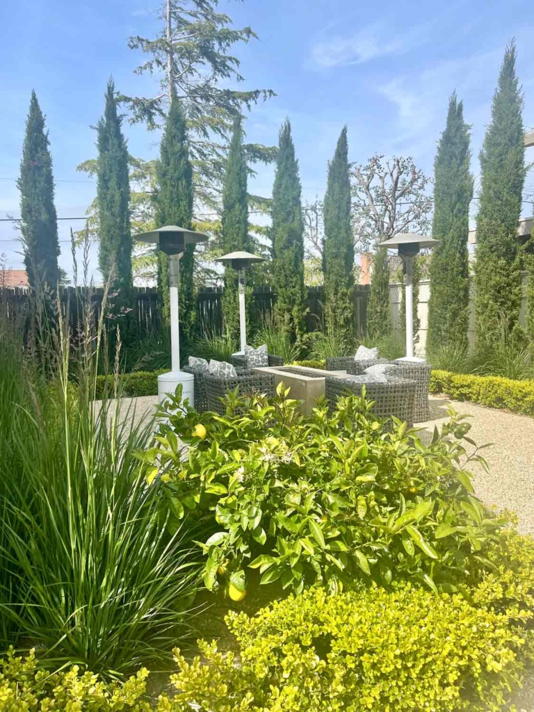Outdoor Seating Area with Firepit
