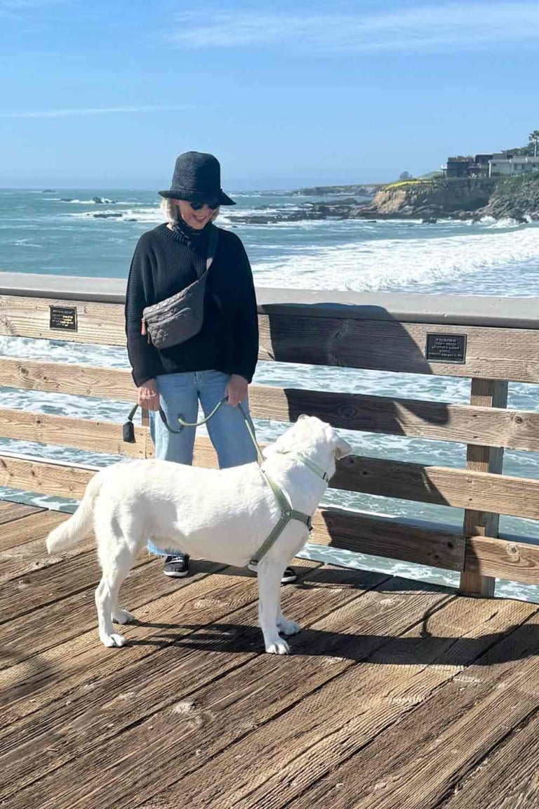 cindy hattersley and Scout at the beach