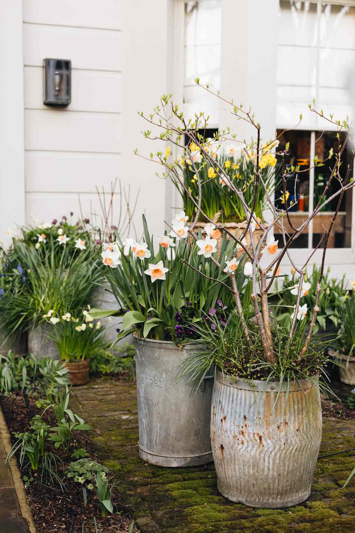Butter Wakefield designed pot arrangement