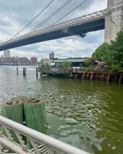 ABC kitchen and Dumbo Waterfront